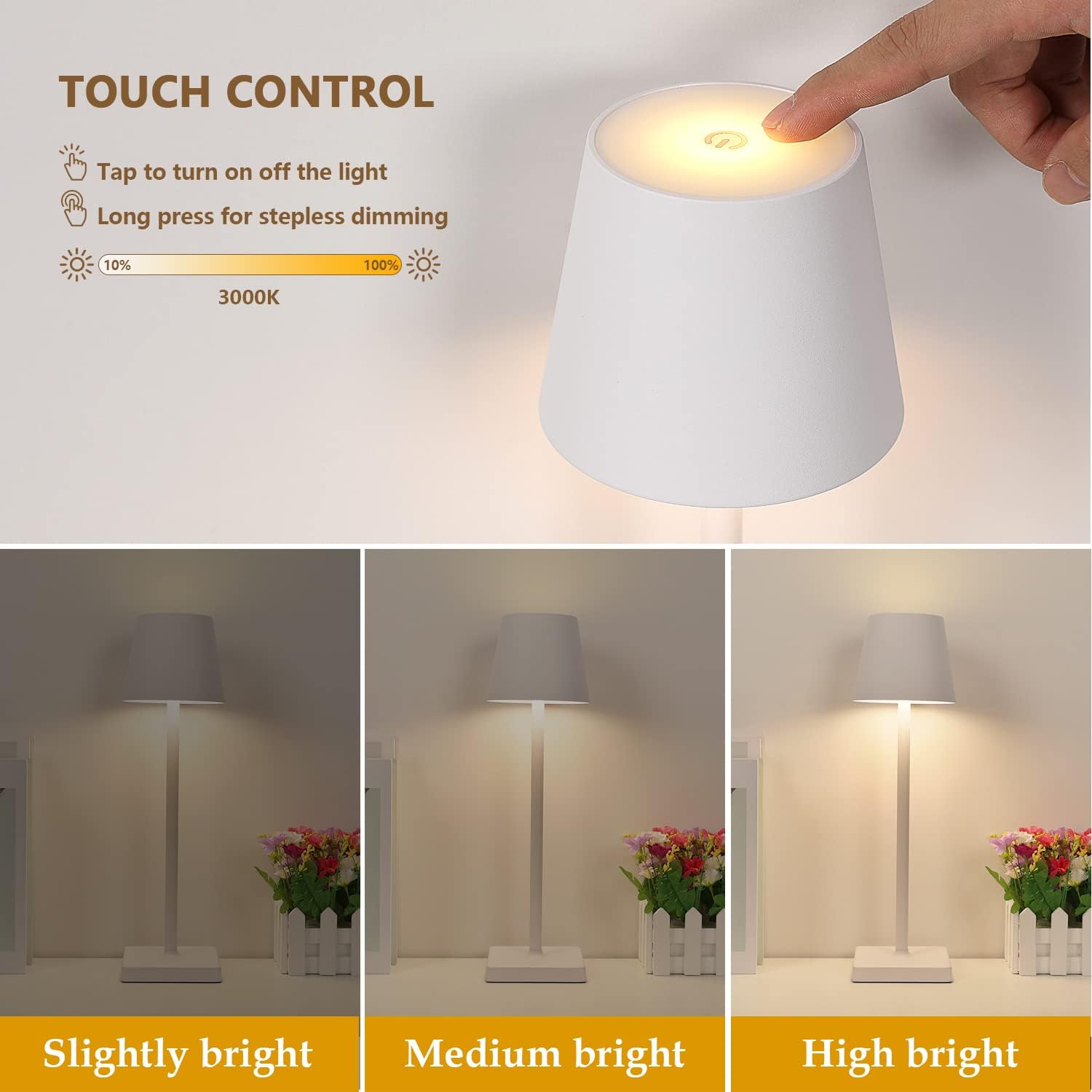 Diagramme de l'effet lumineux de la lampe